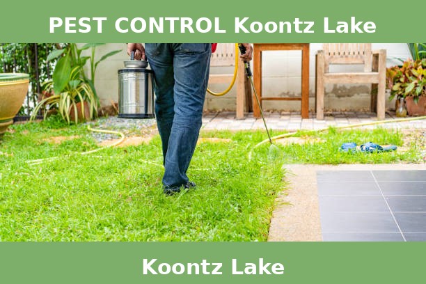 PEST CONTROL Koontz Lake